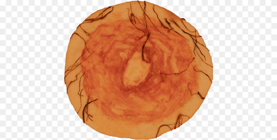 For Pizza Circle, Person Free Png