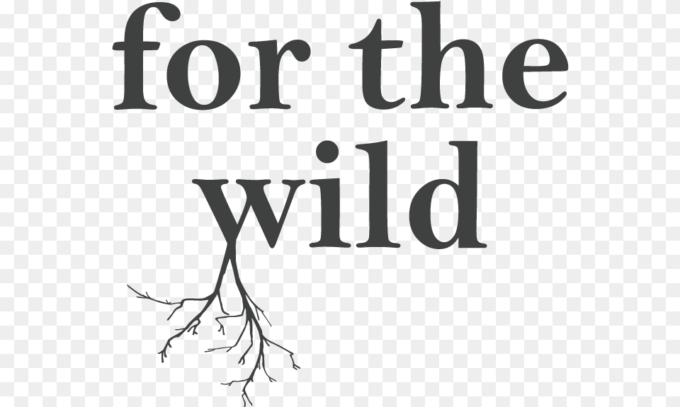 For The Wild Logo Mohawk Flooring, Book, Publication, Text, Plant Free Png Download