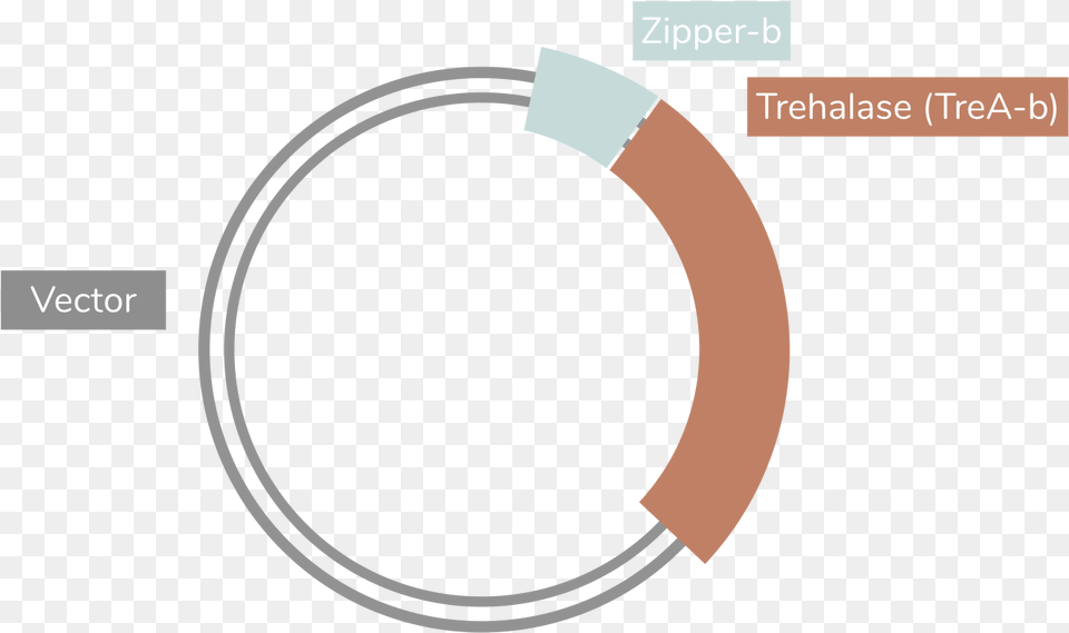 For This Assembly The Fragments We Worked With Were Circle, Astronomy, Eclipse, Water Free Png