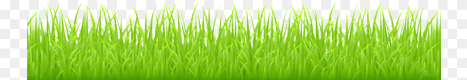 For This Example I Will Use This Cartoon Grass No Background, Green, Lawn, Plant, Vegetation Free Transparent Png