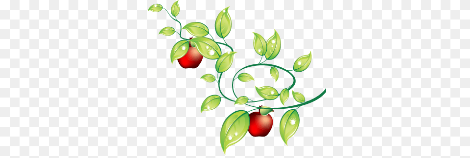 For Your Desktop Kbytes Format Top Apple Orchard, Leaf, Plant, Food, Fruit Free Png Download