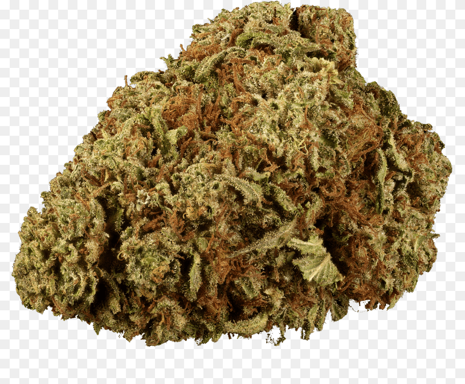 Forbidden Fruit Marijuana, Plant, Weed Png Image