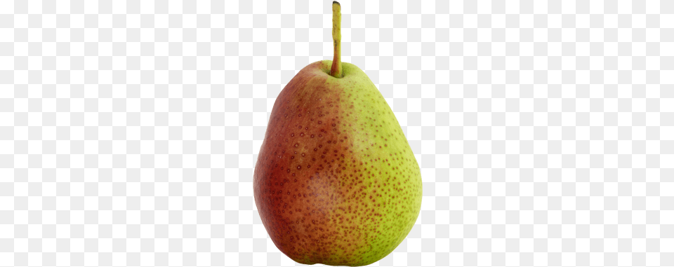 Forelle Asian Pear, Food, Fruit, Plant, Produce Png