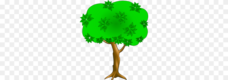 Forest Green, Tree, Plant, Leaf Png