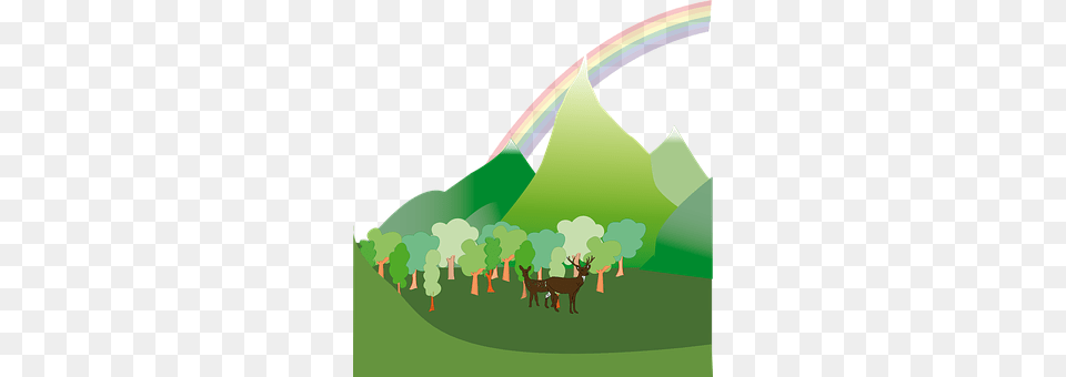 Forest Nature, Outdoors, Art, Graphics Png Image