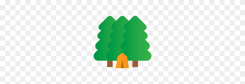 Forest, Light, Traffic Light Free Transparent Png