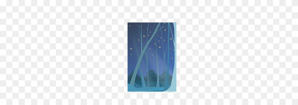 Forest Nature, Night, Outdoors, Animal Free Png