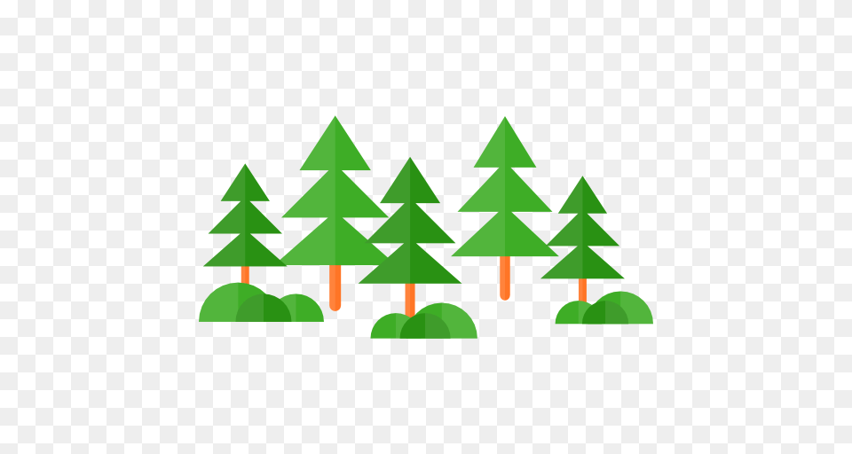 Forest, Green, Fir, Plant, Tree Png Image
