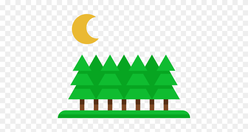 Forest, Green, Nature, Night, Outdoors Free Transparent Png