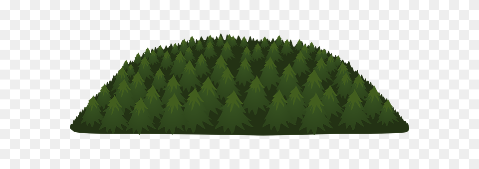 Forest Vegetation, Tree, Grass, Green Free Png