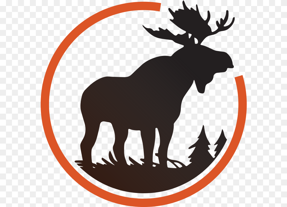 Forest Animal Stencils, Mammal, Moose, Wildlife, Person Free Png