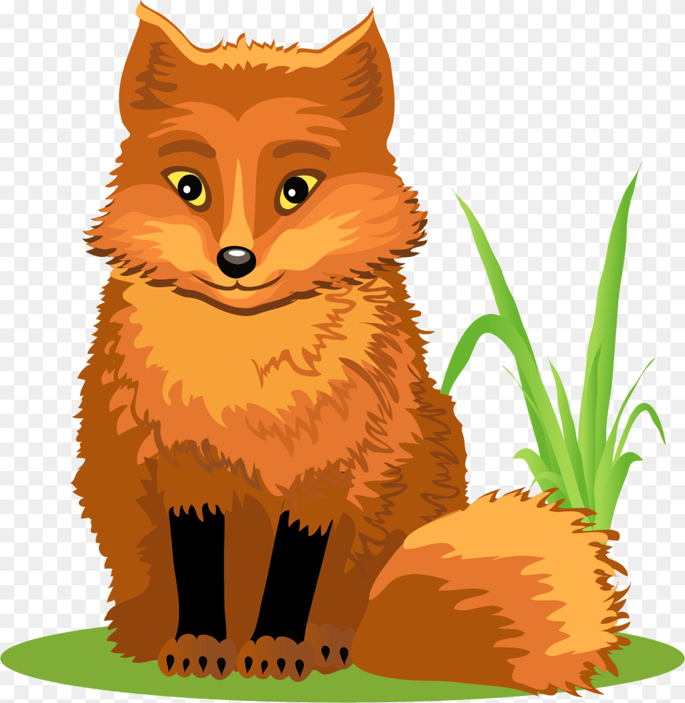 Forest Animals, Animal, Canine, Fox, Lion Free Transparent Png