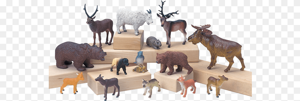 Forest Animals Set Of 14 Piece Forest Animal Play Set For Kids, Bear, Wildlife, Mammal, Antelope Png