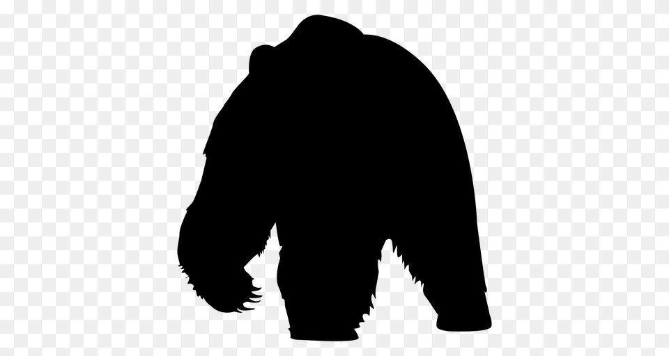 Forest Bear Silhouette, Gray Png Image
