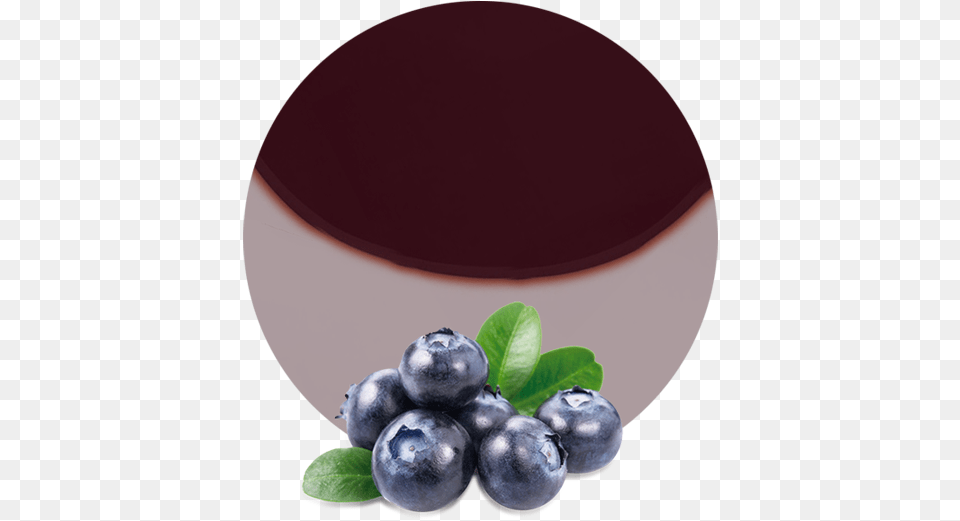Forest Blueberry, Berry, Food, Fruit, Plant Free Png Download