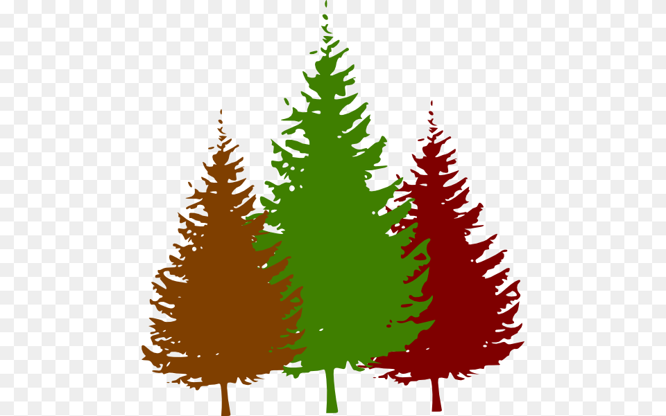 Forest Clip Art, Fir, Pine, Plant, Tree Png Image