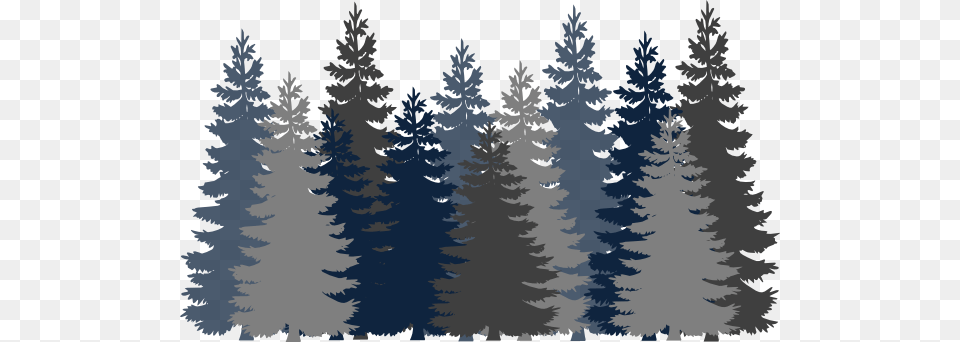 Forest Clipart Forest Tree Vector, Conifer, Fir, Pine, Plant Free Png Download