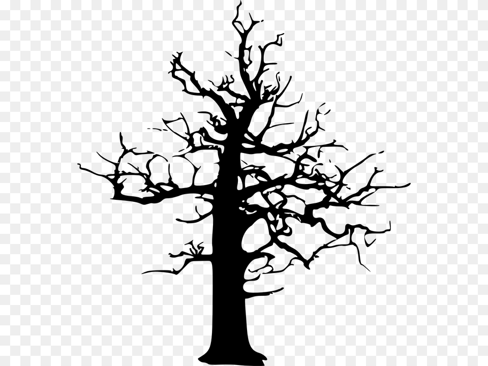 Forest Dieback Forest Decline Dead Tree Winter Dead Tree Vector, Gray Free Png Download