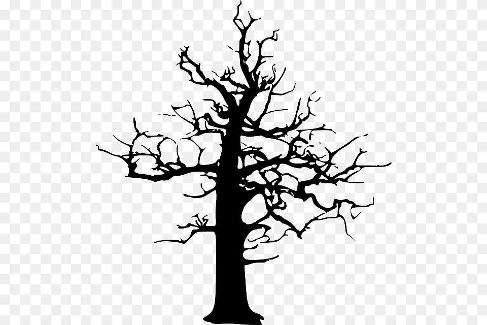 Forest Dieback Forest Decline Dead Tree Winter Dead Tree Vector, Plant, Silhouette, Stencil, Person Free Transparent Png