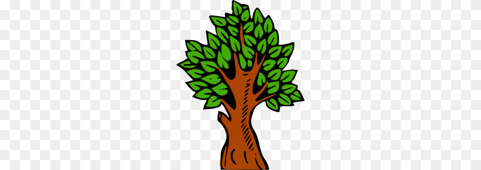 Forest Download Computer Icons Tree Drawing, Vegetation, Green, Potted Plant, Leaf Png