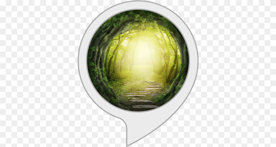 Forest Fantasy Music U0026 Background Amazonin Alexa Skills Magic Forest Drawing Dark, Woodland, Vegetation, Tree, Plant Free Png