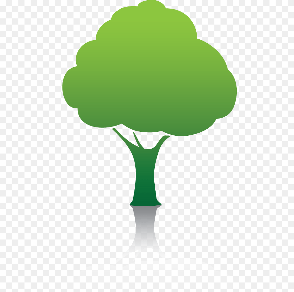 Forest Files 7100 Icons And Backgrounds Environmental Tree Icon, Broccoli, Food, Plant, Produce Free Transparent Png