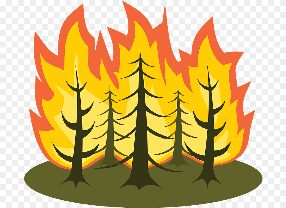 Forest Forest Fire Clipart, Flame, Bonfire Png