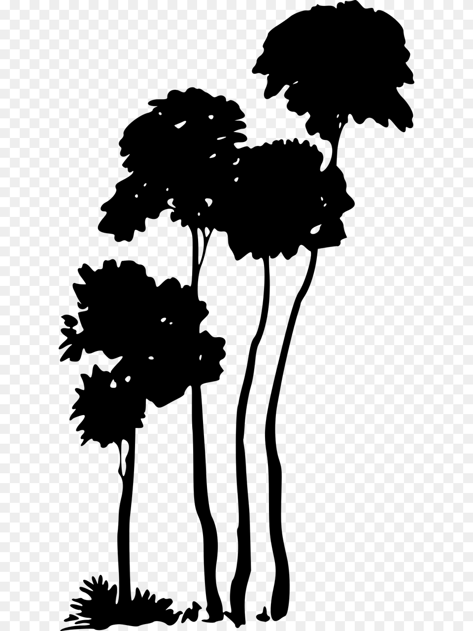 Forest Forest Nature Plant Tree Vegetation Wood F, Gray Png Image