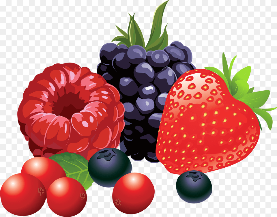 Forest Fruits Vector Berries Clipart, Berry, Blueberry, Food, Fruit Png