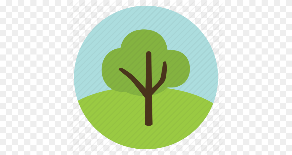 Forest Green Leaves Nature Olive Tree Woods Icon, Leaf, Plant, Disk Free Transparent Png