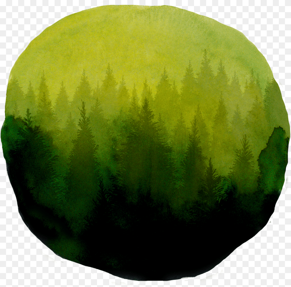 Forest Green Watercolor Forest Watercolor, Sphere, Outdoors, Nature, Night Free Png Download