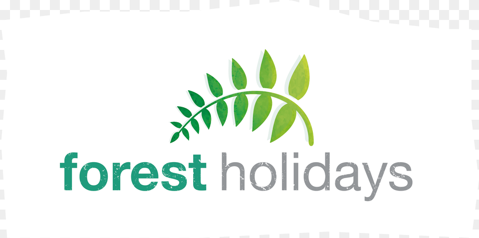 Forest Holidays, Herbal, Herbs, Leaf, Plant Png
