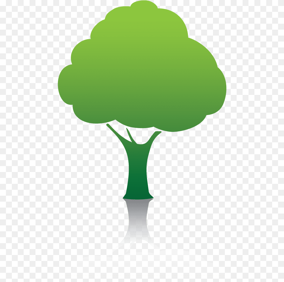 Forest Icon Clipart Green Tree, Broccoli, Food, Plant, Produce Free Png