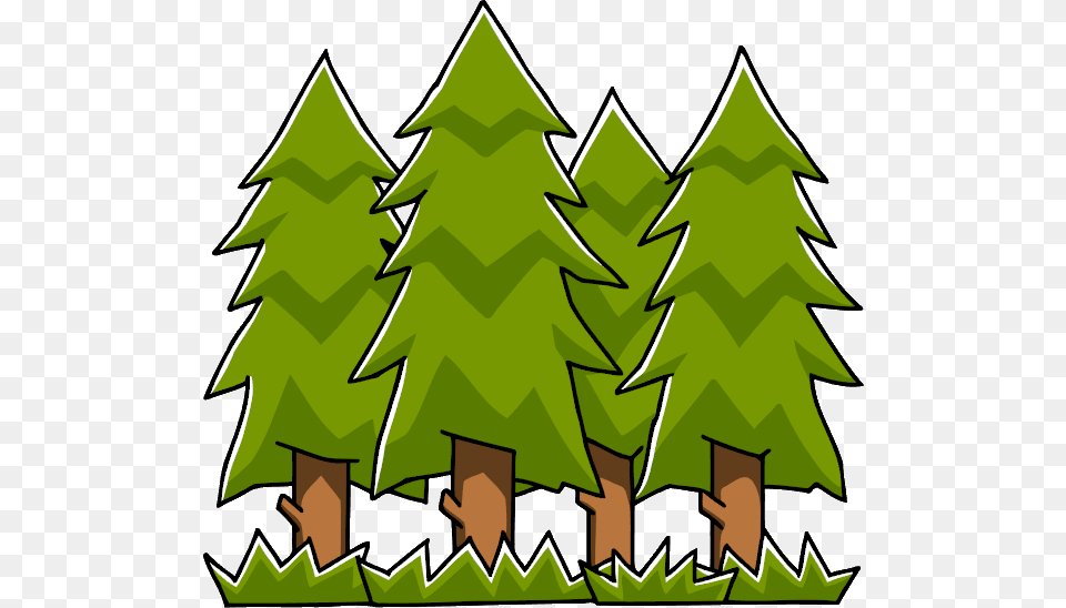 Forest Images, Green, Plant, Tree, Fir Free Png