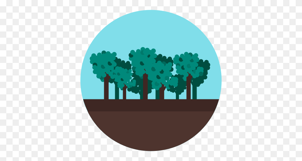 Forest Jungle Tree Wood Icon, Woodland, Vegetation, Plant, Outdoors Free Png Download