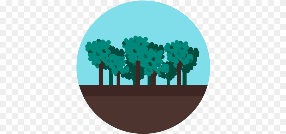 Forest Jungle Tree Wood Icon Forest Icon, Plant, Art, Painting, Disk Free Transparent Png