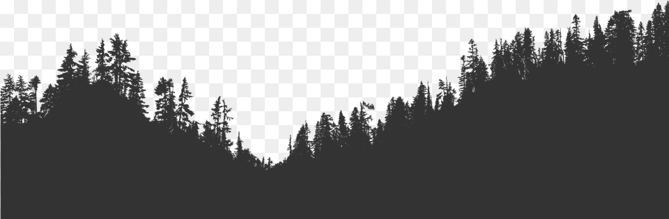 Forest Mountain Silhouette, Plant, Fir, Weather, Nature Png