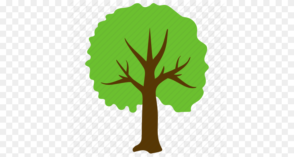 Forest Nature Shrub Tree Tree Trunk Woods Icon, Plant, Animal, Antelope, Mammal Free Transparent Png
