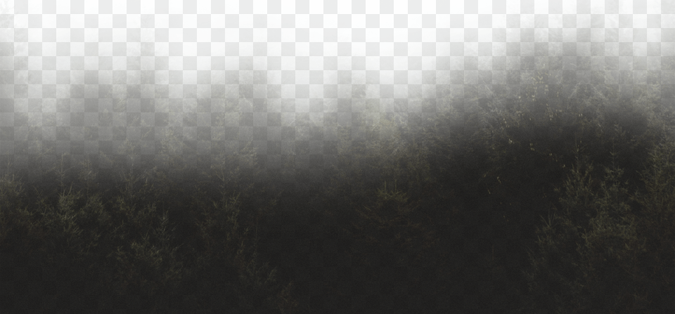 Forest Overlay Darkness, Outdoors, Fog, Weather, Nature Png Image