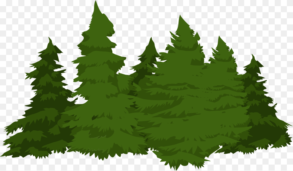 Forest Pine Trees Picture Pine Trees Cartoon, Fir, Green, Plant, Tree Free Png