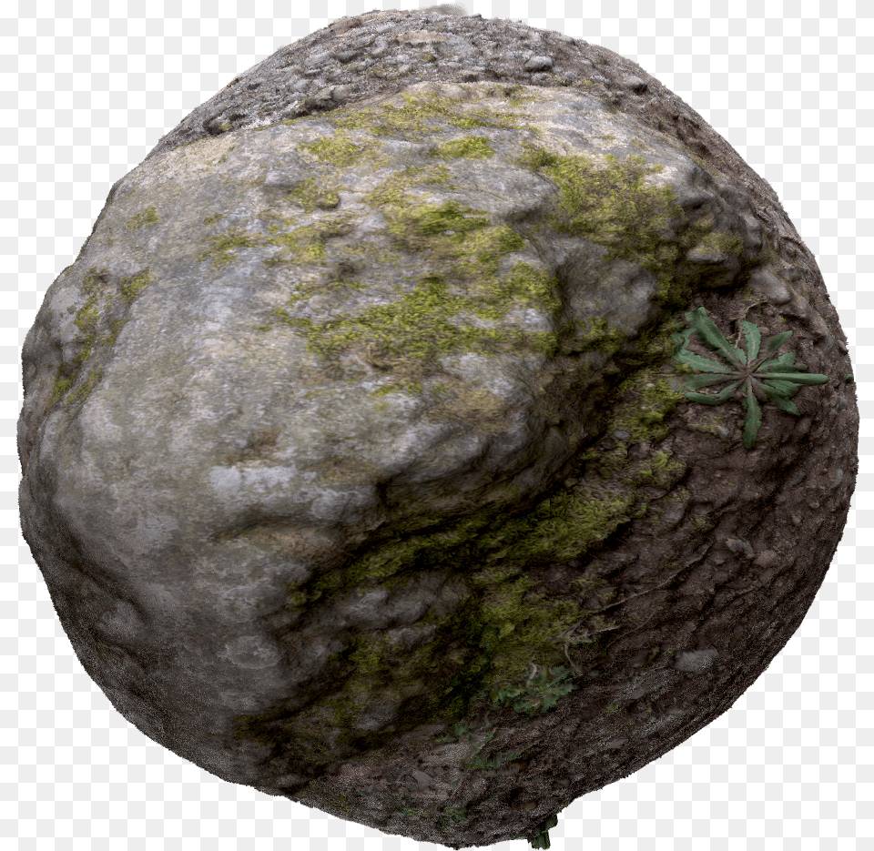 Forest Rock Texture, Moss, Plant, Sphere Free Transparent Png
