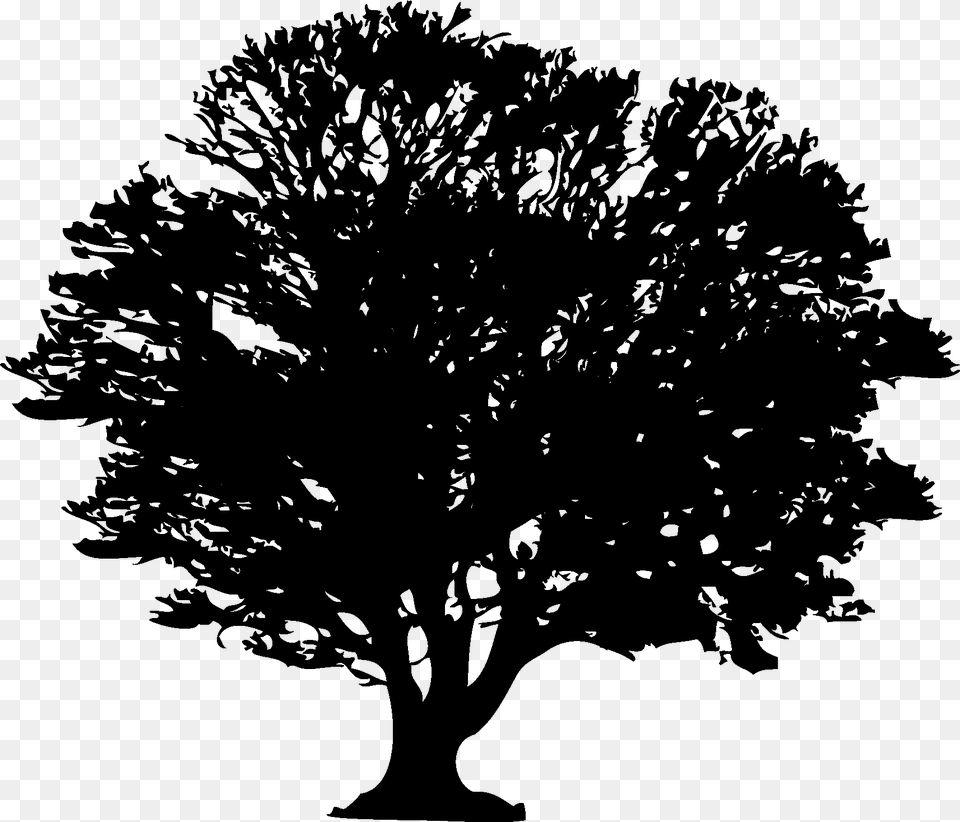 Forest Silhouette, Plant, Tree, Oak, Stencil Png