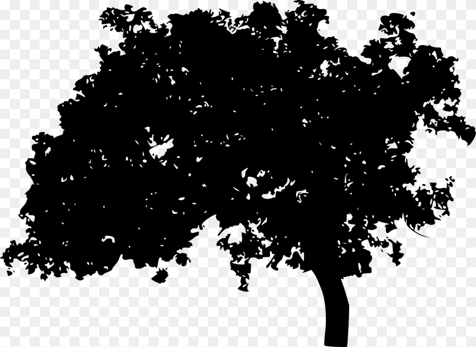 Forest Silhouette Download Silhouette Transparent Background, Oak, Plant, Sycamore, Tree Png Image