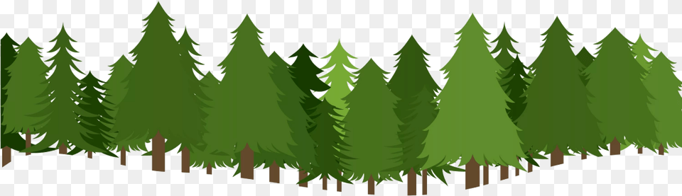 Forest Transparent Photo Cartoon Snowy Forest Background, Conifer, Fir, Green, Pine Free Png Download