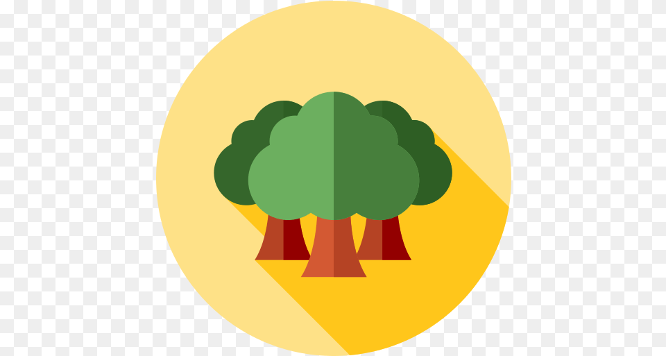 Forest Tree Icon 5 Repo Icons Portable Network Graphics, Nuclear, Astronomy, Moon, Nature Png Image