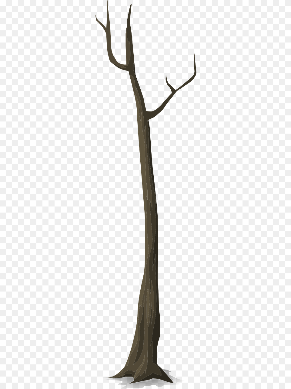 Forest Tree Stem Clipart, Plant, Wood, Art, Cross Png Image