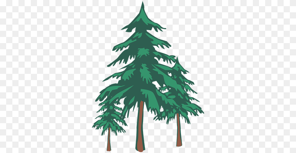 Forest Tree Svg Fir, Pine, Plant, Conifer Free Png Download