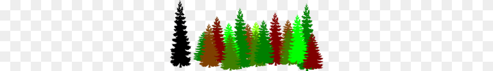 Forest Trees Clip Art, Pine, Plant, Tree, Vegetation Png