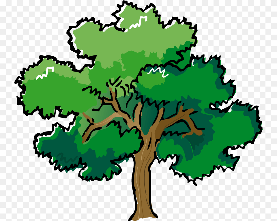 Forest Trees Clip Art Clipart Images Clipartbarn Trees Drawing With Color, Oak, Plant, Sycamore, Tree Free Transparent Png