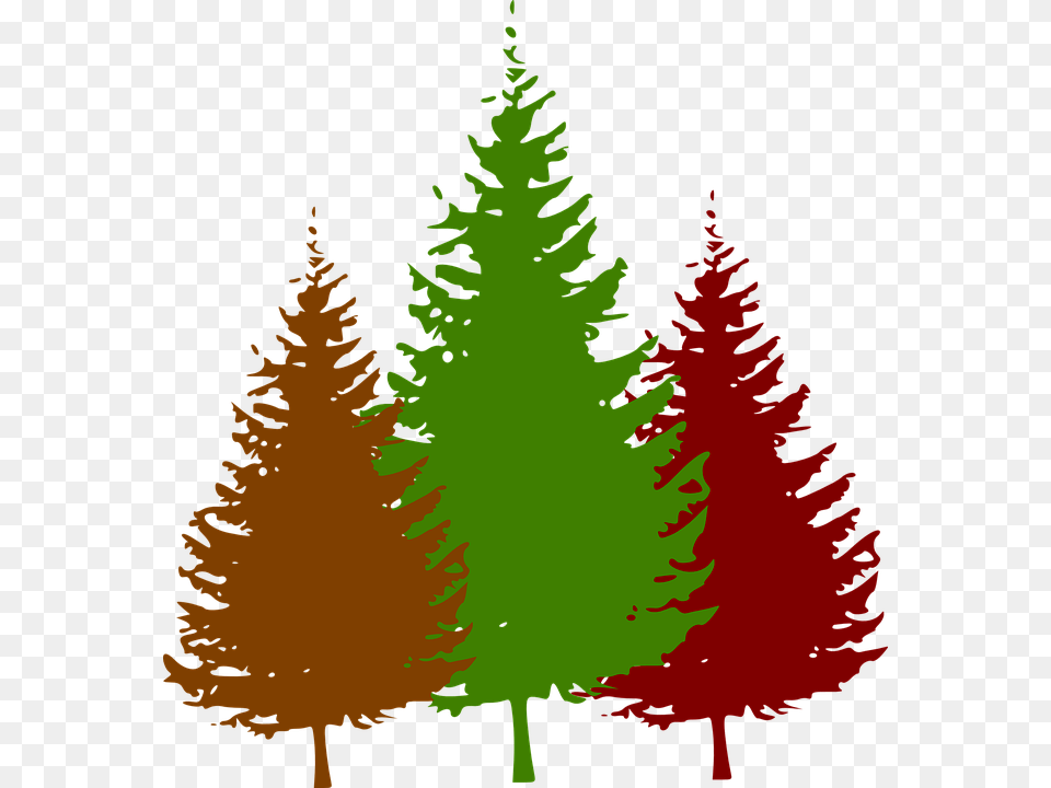 Forest Trees Clip Art Cliparts, Conifer, Fir, Plant, Tree Free Transparent Png